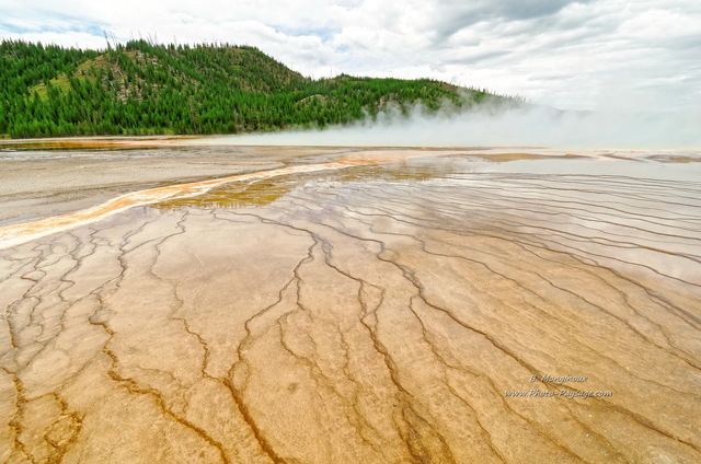 Sur la rive du Grand Prismatic spring
Midway Geyser Basin, parc national de Yellowstone, Wyoming, USA
Mots-clés: usa wyoming source_thermale vapeur