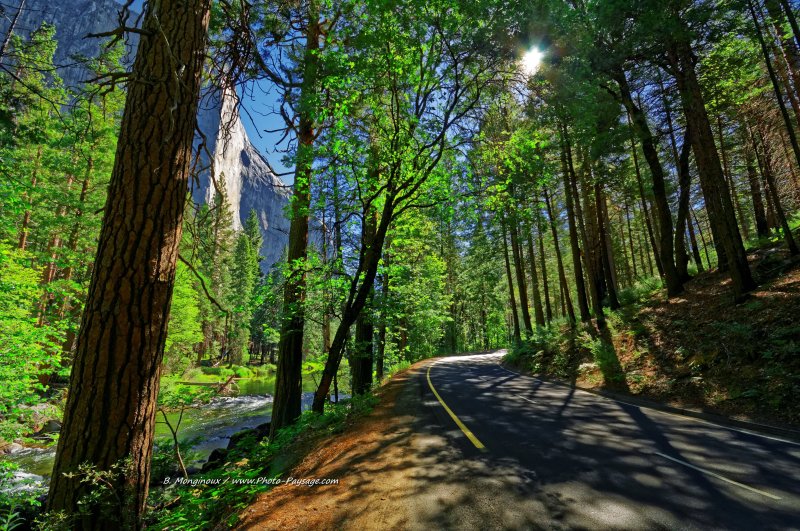 Sur la route dans la vallée de Yosemite
Sur la gauche : la Merced river, et la falaise d'El Capitan.
Parc National de Yosemite, Californie, USA
Mots-clés: californie yosemite USA foret_usa categ_ete routes_ouest_amerique