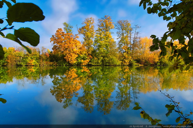 Teintes d automne en bord de Marne -09
Un bosquet aux feuillages d'automne se reflète dans la Marne.

[Photos d'automne]
Mots-clés: belles-photos-automne riviere marne automne reflets feuille couleur les_plus_belles_images_de_nature