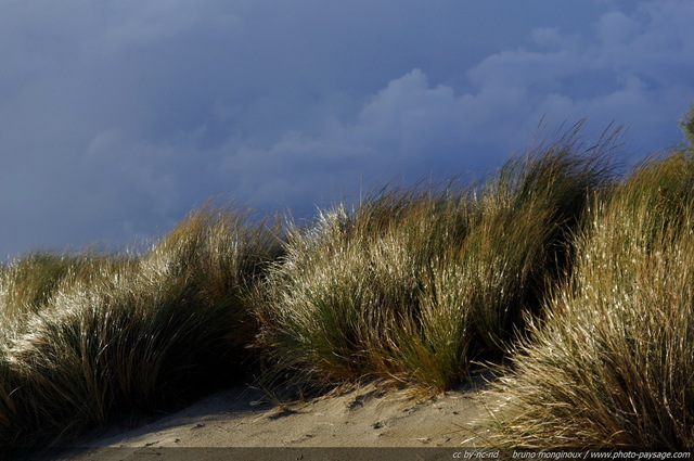 Temps d'automne sur les dunes du lido du Grand Travers - 03
Les plages du Languedoc-Roussillon
Mots-clés: plage languedoc-roussillon herault mer mediterranee dune