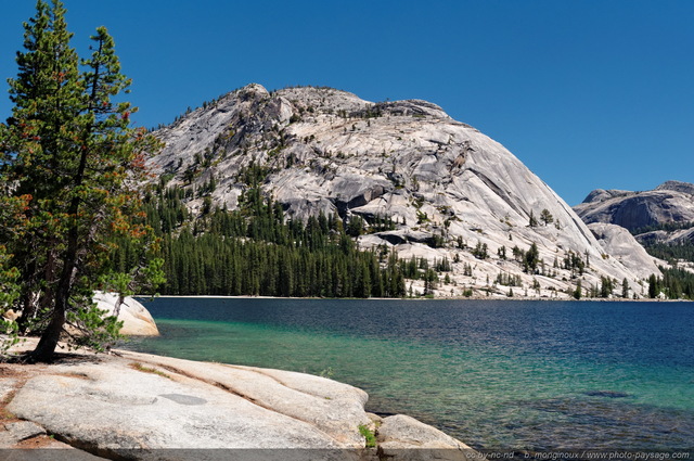 Tenaya lake à  Yosemite
Yosemite National Park, Californie, USA
Mots-clés: USA etats-unis californie yosemite categ_ete categorielac montagne_usa