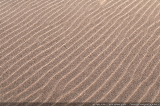 Texture sur dune - Plage de l'Espiguette
Massif dunaire de l'Espiguette
Le Grau du Roi / Port Camargue (Gard). 
Mots-clés: texture motif nature plage mer mediterranee plage dune espiguette gard languedoc_roussillon languedoc-roussillon littoral nature