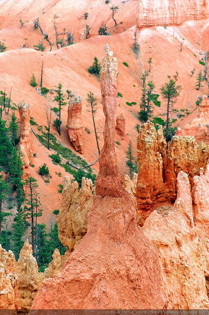 The Sentinel -  Bryce Canyon Sunset Point
Bryce Canyon National Park, Utah, USA
Mots-clés: bryce_canyon utah usa nature hoodoo categ_ete