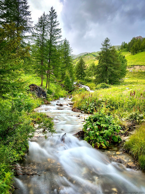 Ruisseau du lac
Tignes, Savoie
Mots-clés: foret_alpes catrg_ete Savoie cadrage_vertical les_plus_belles_images_de_nature tignes