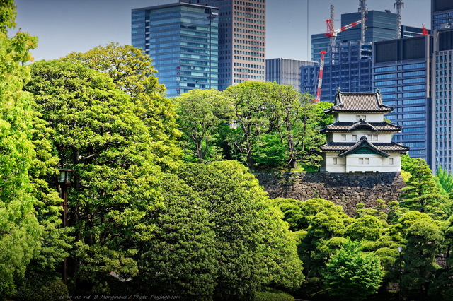 Tour de garde dans le palais impérial
Contraste entre tradition et modernité au Japon : une tour de garde dans le palais impérial à  Tokyo, et en arrière plan un paysage urbain de grues et gratte-ciels...
Mots-clés: tokyo japon chateau rempart les_plus_belles_images_de_ville regle_des_tiers