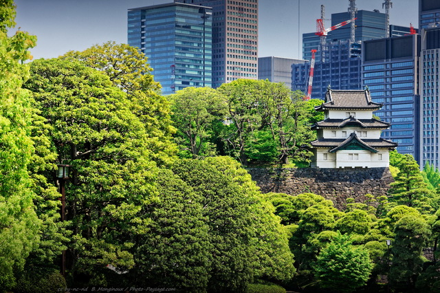 Tour de garde dans le palais impérial
Contraste entre tradition et modernité au Japon : une tour de garde dans le palais impérial à Tokyo, et en arrière plan un paysage urbain de grues et gratte-ciels...
Mots-clés: tokyo japon chateau rempart les_plus_belles_images_de_ville regle_des_tiers