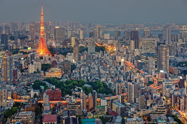 Tokyo, à  la nuit tombante
Tokyo, Japon
Mots-clés: route les_plus_belles_images_de_ville regle_des_tiers
