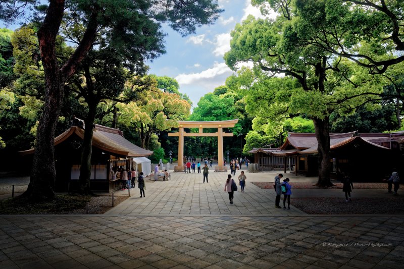 Torii vu depuis l'entrée du temple Meiji Jingū
Temple shintoïste Meiji Jingū, quartier de Shibuya, Tokyo, Japon
Mots-clés: tokyo japon