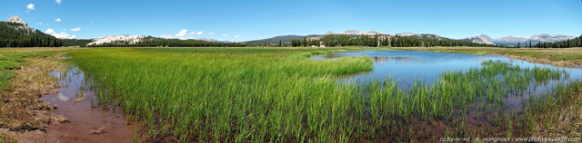 Tuolumne Meadows
(assemblage panoramique HD)
Parc National de Yosemite, Californie, USA
Mots-clés: yosemite californie usa photo_panoramique categ_ete les_plus_belles_images_de_nature zone-humide