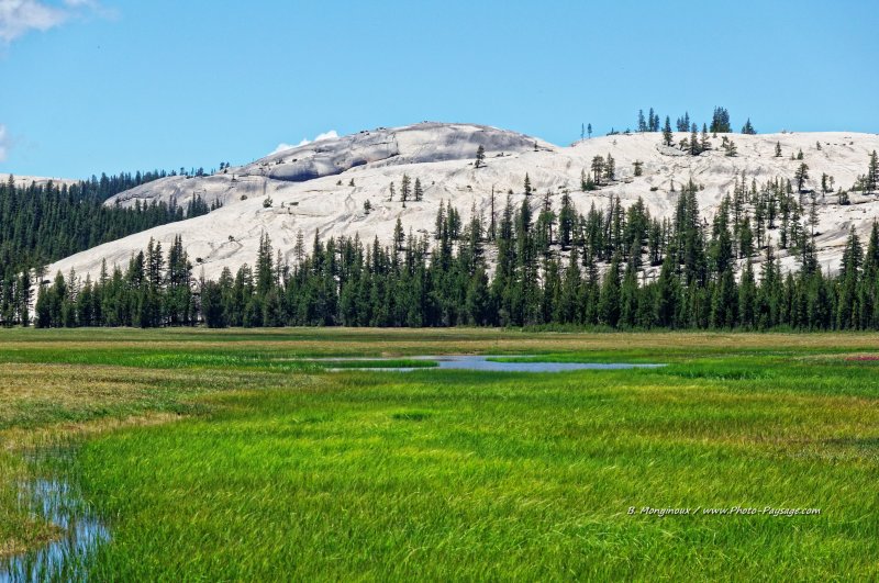 Tuolumne Meadows
Parc National de Yosemite, Californie, USA
Mots-clés: yosemite californie usa categ_ete zone-humide foret_usa montagne_usa