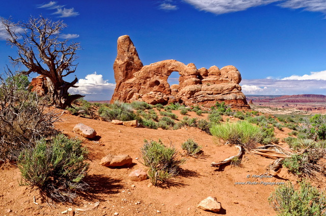 Turret Arch 
Arches National Park, Utah, USA
Mots-clés: utah usa arche_naturelle desert