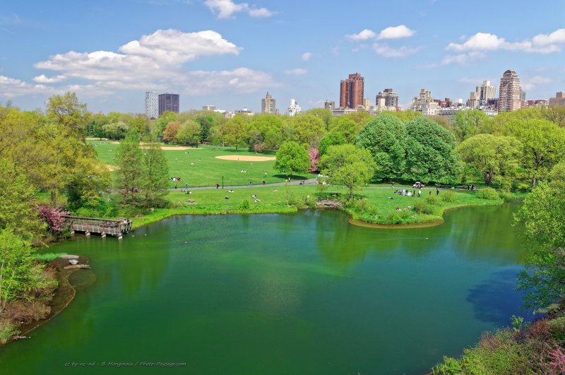 Turtle pond
Central Park, New-York, USA
Mots-clés: new-york usa printemps categorielac pelouse
