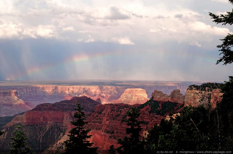 Un arc-en-ciel au dessus de la rive sud du Grand Canyon
Parc National du Grand Canyon (North Rim), Arizona, USA
Mots-clés: usa arizona grand-canyon arc-en-ciel pluie
