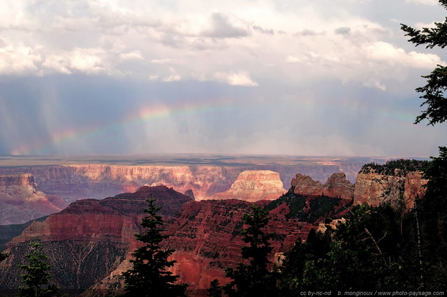 Un arc-en-ciel au dessus de la rive sud du Grand Canyon
Parc National du Grand Canyon (North Rim), Arizona, USA
Mots-clés: usa arizona grand-canyon arc-en-ciel pluie