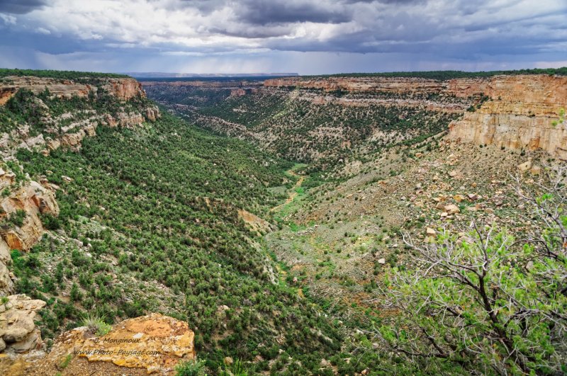 Un canyon dans le parc national de Mesa Verde
Parc national de Mesa Verde, Colorado, USA
Mots-clés: etat_colorado usa categ_ete montagne_usa canyon foret_usa