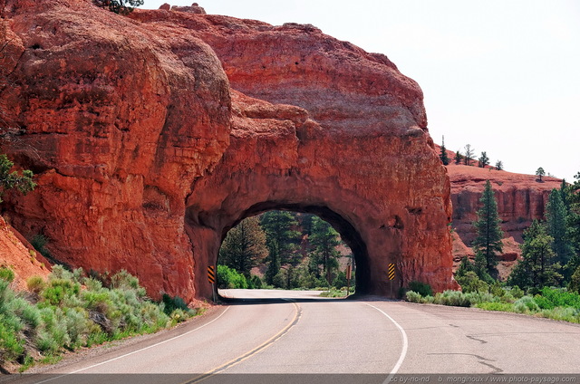 Un des deux tunnels routiers de Red Canyon
Red Canyon, Scenic byway 12, Utah, USA
Mots-clés: red_canyon utah usa categ_ete routes_ouest_amerique tunnel