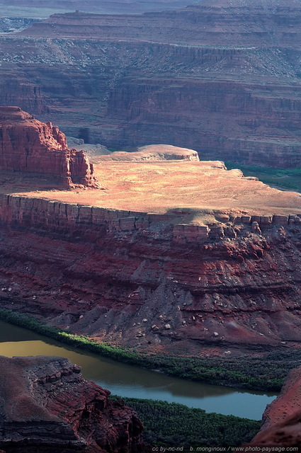 Un plateau cerné par les méandres du Colorado   2
Dead Horse Point state park (Canyonlands), Utah, USA
Mots-clés: USA etats-unis utah fleuve_colorado canyon desert