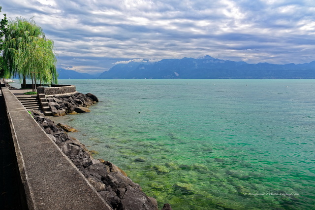 Un saule pleureur au bord du lac Léman
Lausanne, Suisse
Mots-clés: suisse categorielac categ_ete saule_pleureur lac_leman