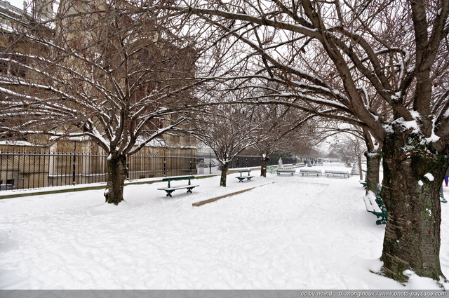 Un square à  Paris recouvert de Neige
Square Jean XXIII, au pied de Notre Dame
[Paris sous la neige]
Mots-clés: neige paris jardin_public_paris hiver
