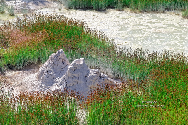 Un volcan de boue miniature 
West Thumb geyser basin, Parc national de Yellowstone, Wyoming, USA
Mots-clés: yellowstone wyoming usa herbe source_thermale