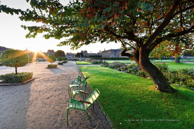 Une allée au petit matin dans le jardin des Tuileries
En arrière plan le palais du Louvre.
Jardin des Tuileries, Paris
Mots-clés: lever_de_soleil jardin_public_paris herbe pelouse paris arbre_de_judee regle_des_tiers