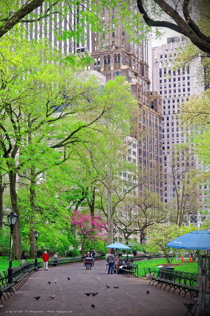 Une allée du sud de Central Park
Manhattan, New-York, USA
Mots-clés: new-york manhattan usa cadrage_vertical