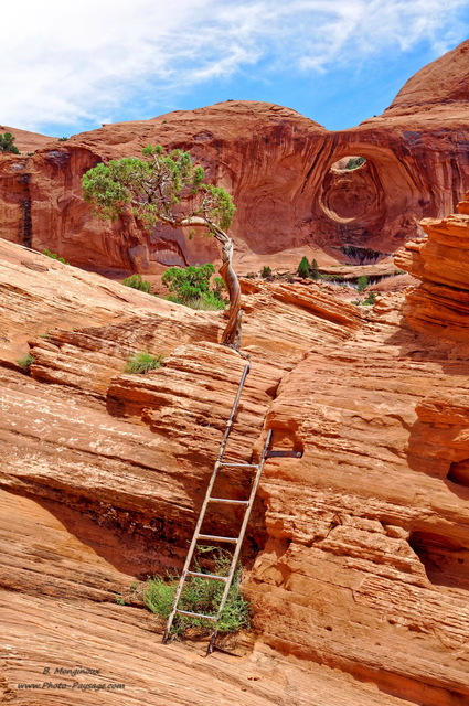 Une échelle sur le sentier d'accès à  la Bowtie Arch et à  la Corona Arch
Moab, Utah, USA
Mots-clés: moab utah usa desert arche_naturelle echelle sentier cadrage_vertical