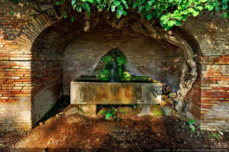 Une fontaine sur le Mont Palatin, Rome
Rome, Italie
Mots-clés: mont_palatin rome italie fontaine