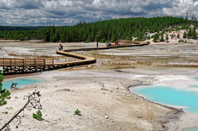 Une passerelle traversant les sources thermales de Norris geyser basin
Parc national de Yellowstone, Wyoming, USA
Mots-clés: source_thermale yellowstone wyoming usa passerelle categ_ete