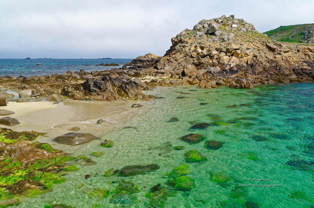 Une plage sur l'Île aux Moines (réserve naturelle des Sept Îles)
 Perros-Guirec, Côtes-d'Armor, Bretagne
Mots-clés: bretagne littoral mer manche plage cotes-d-armor