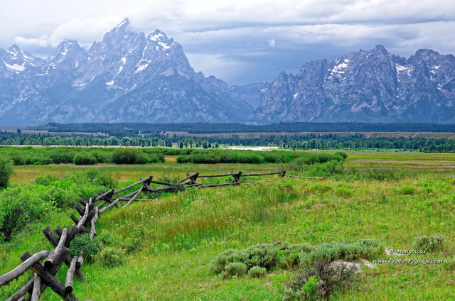 Une prairie dans le parc national de Grand Teton
Parc national de Grand Teton, Wyoming, USA
Mots-clés: grand_teton campagne_usa categ_ete wyoming usa montagne_usa