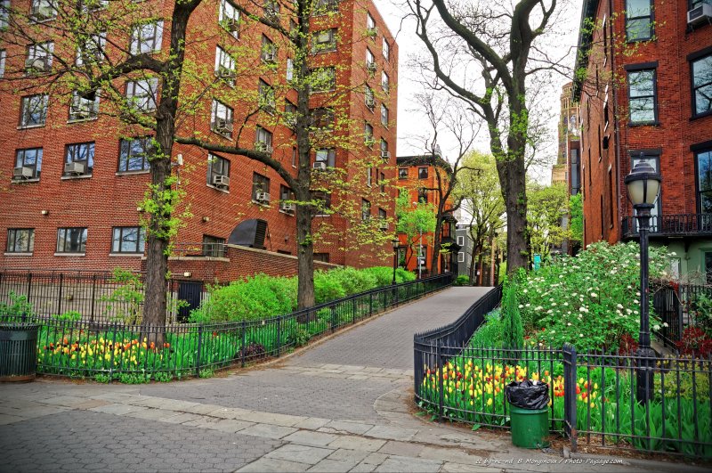 Une rue piétonne dans Brooklyn
New-York, USA
Mots-clés: usa new-york
