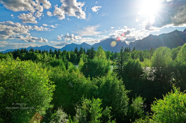 Une végétation dense sur les rives de la Snake River
Parc national de Grand Teton, Wyoming, USA
Mots-clés: grand_teton wyoming usa categ_ete montagne_usa foret_usa