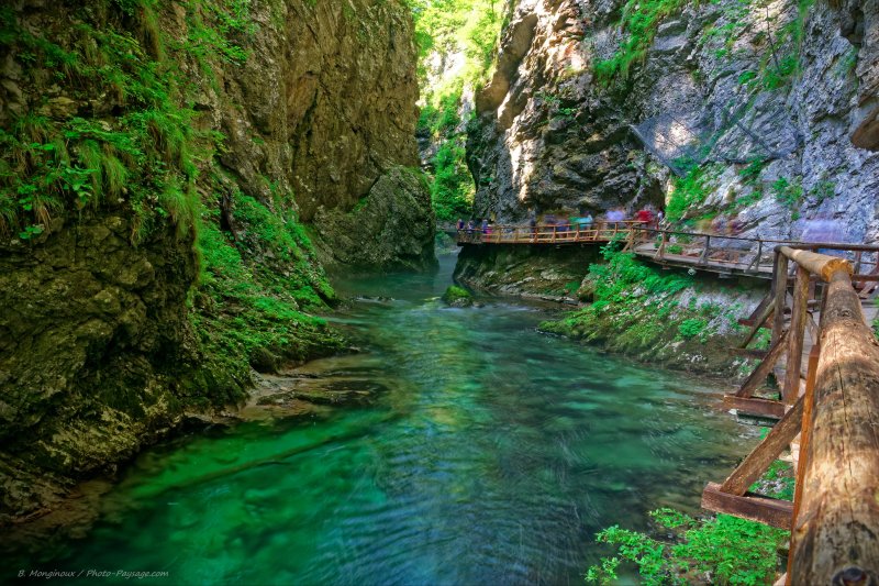 Une belle balade dans les gorges de Vintgar
Parc national du Triglav, Bled, Slovénie
Mots-clés: canyon slovenie riviere chemin categ_ete les_plus_belles_images_de_nature alpes_slovenie
