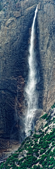 Upper Yosemite Falls
Parc National de Yosemite, Californie, USA
Mots-clés: californie cadrage_vertical yosemite USA foret_usa categ_ete cascade montagne_usa photo_panoramique