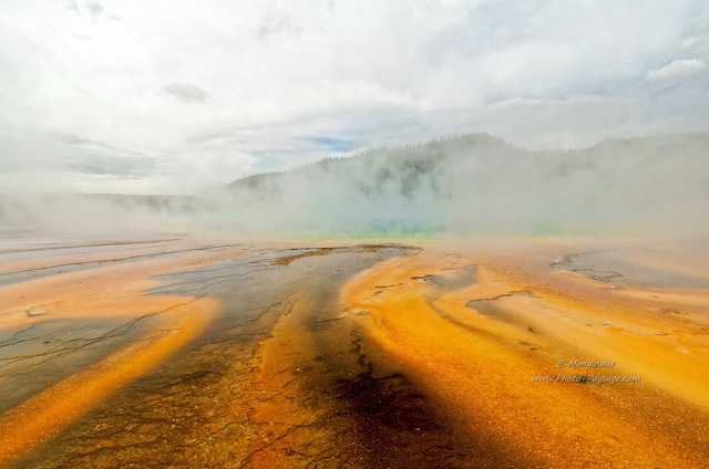 Vapeurs chaudes au bord du Grand Prismatic spring
Le bassin thermal du Grand Prismatic est le plus grand de Yellowstone, et le troisième la plus grand au monde, avec ses 112m de large et 37 de profondeur. L'eau y bouillonne à plus de 70 °C, d'où la vapeur abondante qui s'en dégage...

Midway Geyser Basin, parc national de Yellowstone, Wyoming, USA
Mots-clés: usa wyoming source_thermale brume vapeur