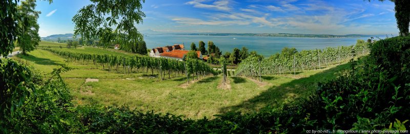 Vignes au bord du lac de Constance
(assemblage panoramique)
Allemagne
Mots-clés: allemagne photo_panoramique categorielac categ_ete vigne