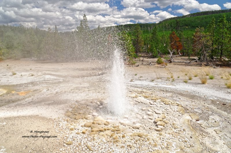 Vixen Geyser
Parc national de Yellowstone (Norris Geyser basin), Wyoming, USA
Mots-clés: geyser yellowstone usa wyoming source_thermale