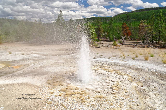 Vixen Geyser
Parc national de Yellowstone (Norris Geyser basin), Wyoming, USA
Mots-clés: geyser yellowstone usa wyoming source_thermale