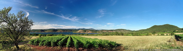 Vue panoramique d'un vignoble au bord du lac du Salagou
(assemblage panoramique HD)
Hérault, France
Mots-clés: salagou herault vigne categ_ete photo_panoramique ruffe categorielac categ_ete