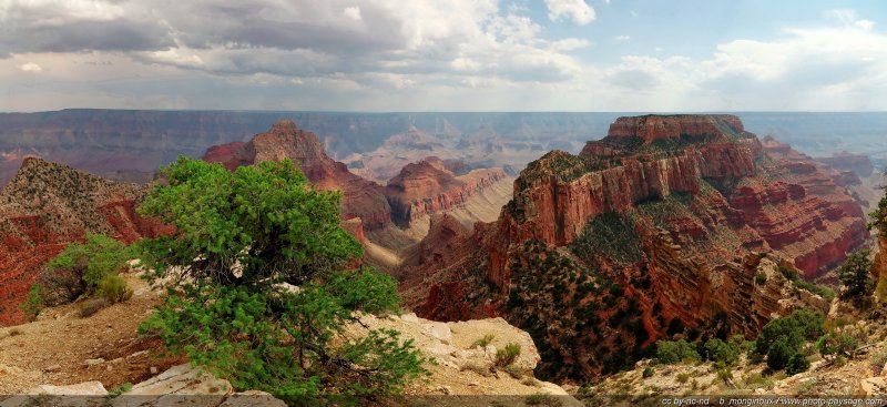 Grand Canyon : vue panoramique depuis Cape Royal
[i](assemblage panoramique HD)[/i]
Parc National du Grand Canyon (North Rim), Arizona, USA
Mots-clés: grand-canyon north-rim arizona usa nature montagne categ_ete photo_panoramique les_plus_belles_images_de_nature