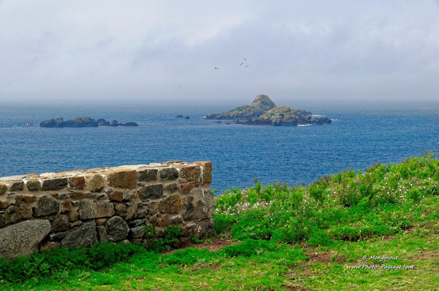 Vue sur l'archipel des Sept-Îles depuis l'île aux moines
Réserve naturelle nationale des Sept-Îles, Côtes d'Armor, Bretagne
Mots-clés: bretagne cotes-d-armor