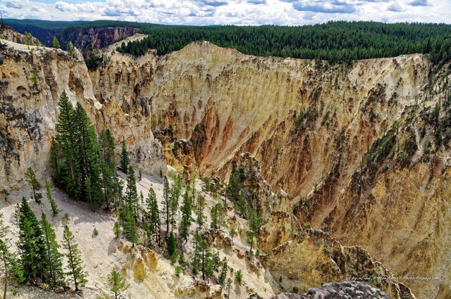 Vue sur les falaises du grand canyon de Yellowstone
Parc national de Yellowstone, Wyoming, USA
Mots-clés: wyoming yellowstone usa foret_usa canyon falaise conifere categ_ete