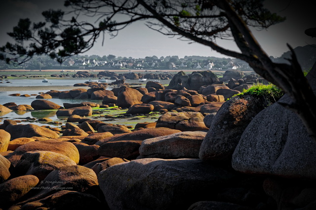 Vue sur les rochers à  marée basse depuis la presqu'à®le Renote
Trégastel, Côtes-d'Armor, Bretagne
Mots-clés: bretagne littoral mer manche rocher cotes-d-armor