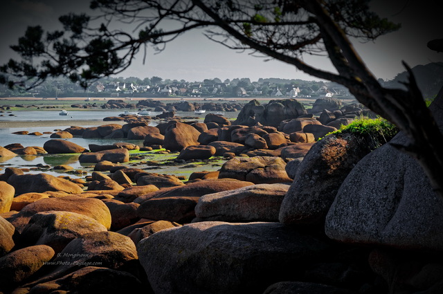 Vue sur les rochers à marée basse depuis la presqu'île Renote
Trégastel, Côtes-d'Armor, Bretagne
Mots-clés: bretagne littoral mer manche rocher cotes-d-armor