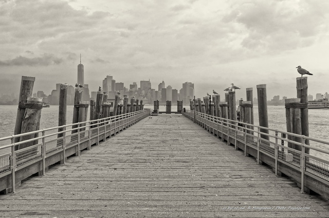 Des mouettes sur une jetée dans la baie de New York
Photo prise depuis Liberty Island. En arrière plan, les gratte-ciels du sud de Manhattan.
New-York, USA
Mots-clés: noir_et_blanc oiseau jetee