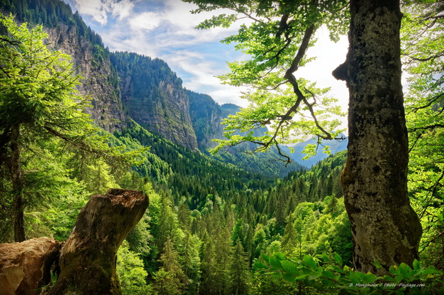 Vue sur la vallée du lac de Montriond
Ardent, Haute-Savoie
Mots-clés: foret_alpes categ_ete les_plus_belles_images_de_nature