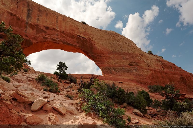 Wilson Arch
Wilson Arch, Utah, USA
Mots-clés: utah usa arche_naturelle
