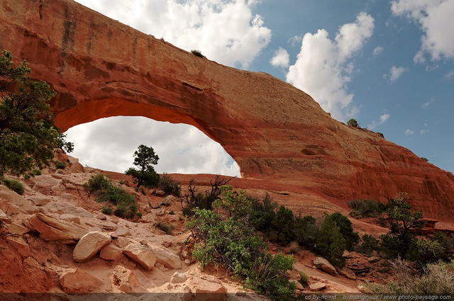 Wilson Arch
Wilson Arch, Utah, USA
Mots-clés: utah usa arche_naturelle