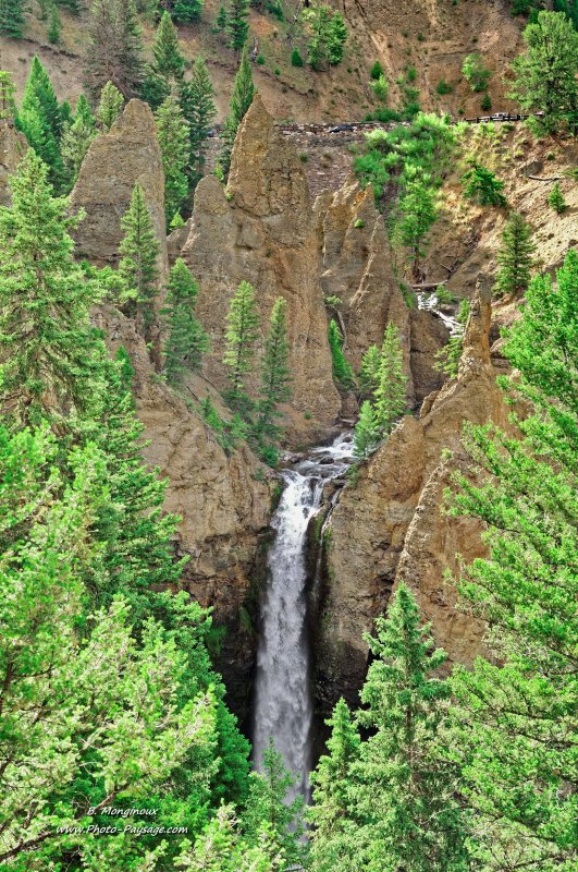 La cascade de Tower Fall
Parc national de Yellowstone, Wyoming, USA
Mots-clés: yellowstone cascade usa wyoming categ_ete foret_usa conifere montagne_usa cadrage_vertical